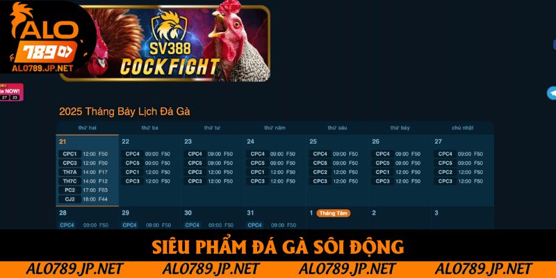 TRANG CHỦ 49 Siêu phẩm đá gà sôi động
